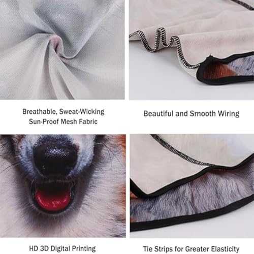 Cat Ski Mask 2-Piece Balaclava