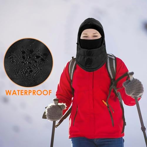 Warm Ski Mask for Cold Weather