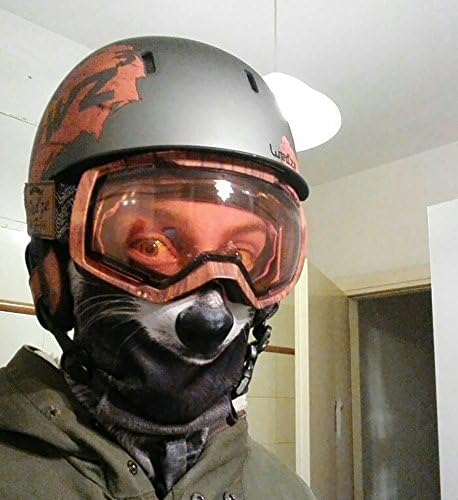 WTACTFUL Animal 3D Ears Balaclava Face Mask