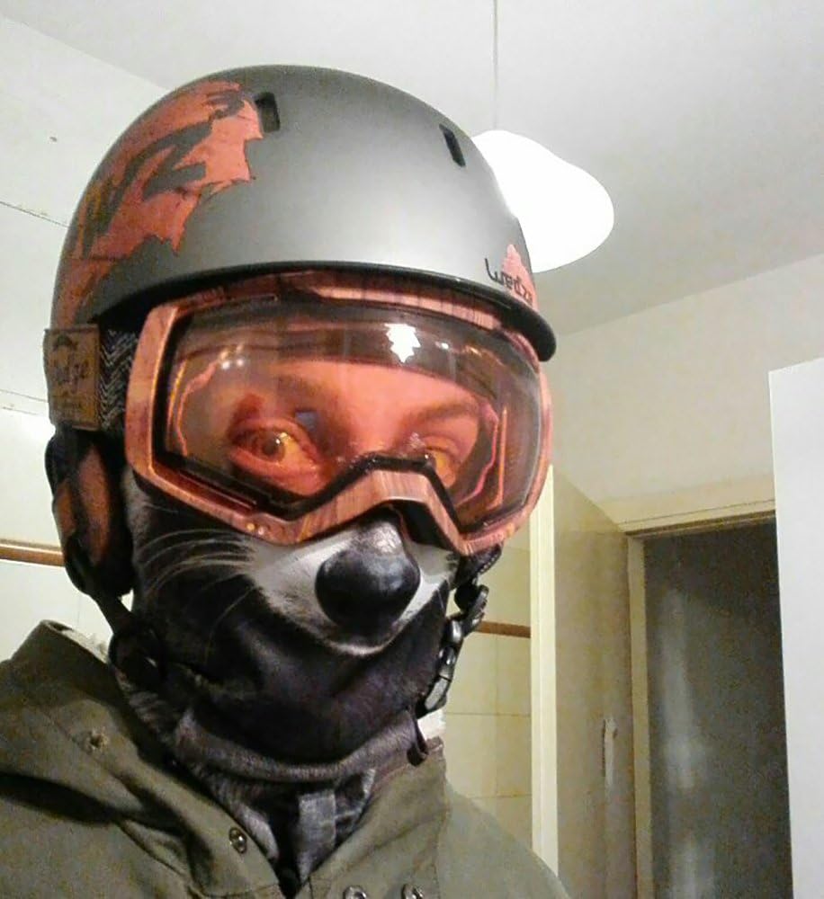 WTACTFUL Animal 3D Ears Balaclava Face Mask